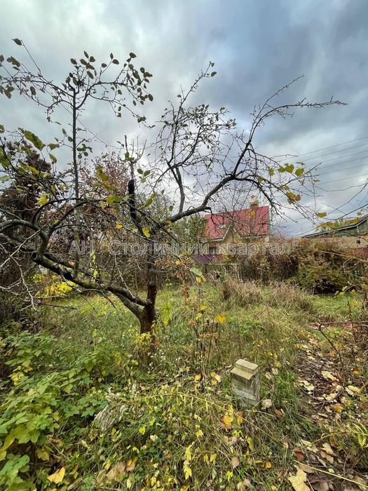 Продаж дачи та ділянки вул.Садова-131 метро Славутич