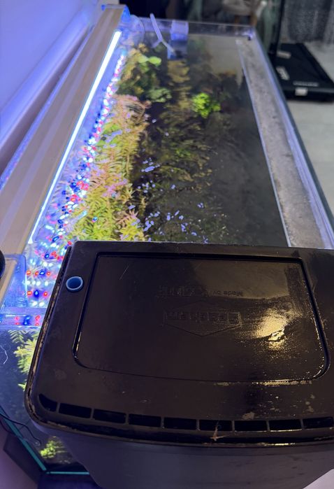 Akwarium 200l z szafa