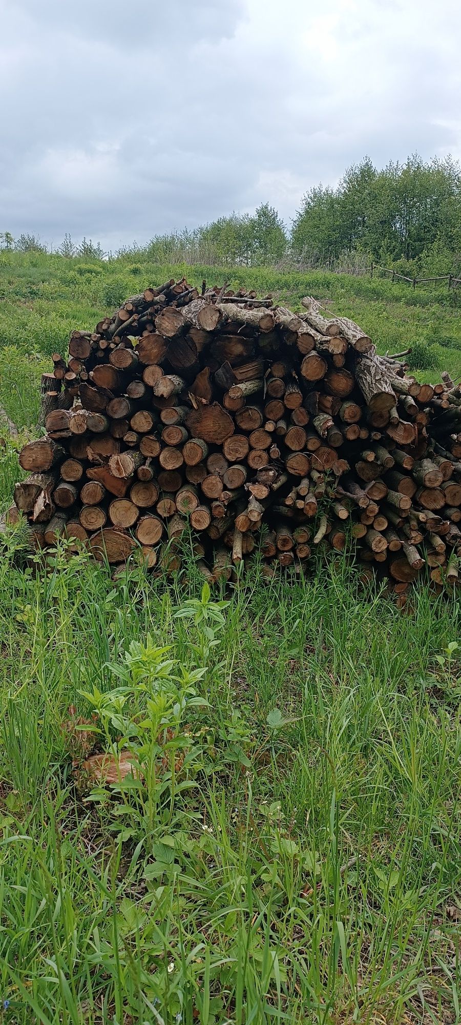 Продам дрова м'яких порід дерев