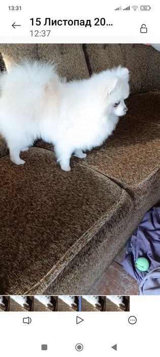 Дівчинка підрощена