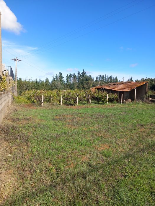 Terreno para construção de moradia avelar