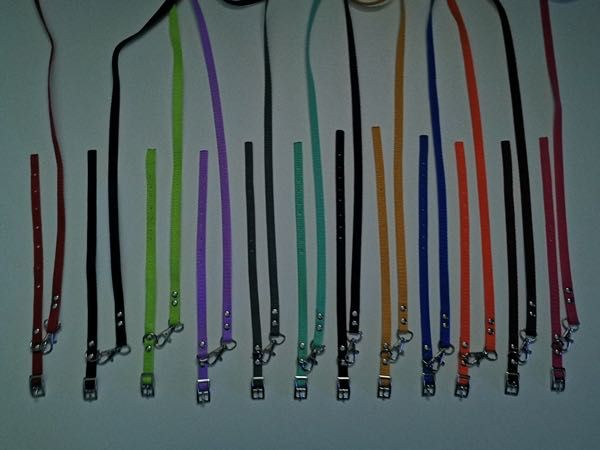 york obroża i smycz dla szczeniaka, zestaw 5 szt. kolory wyprawka