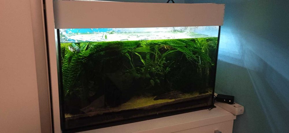 Super okazja i mega cena sprzedam akwarium 120l