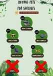 Trade and buy your pets in grow a garden