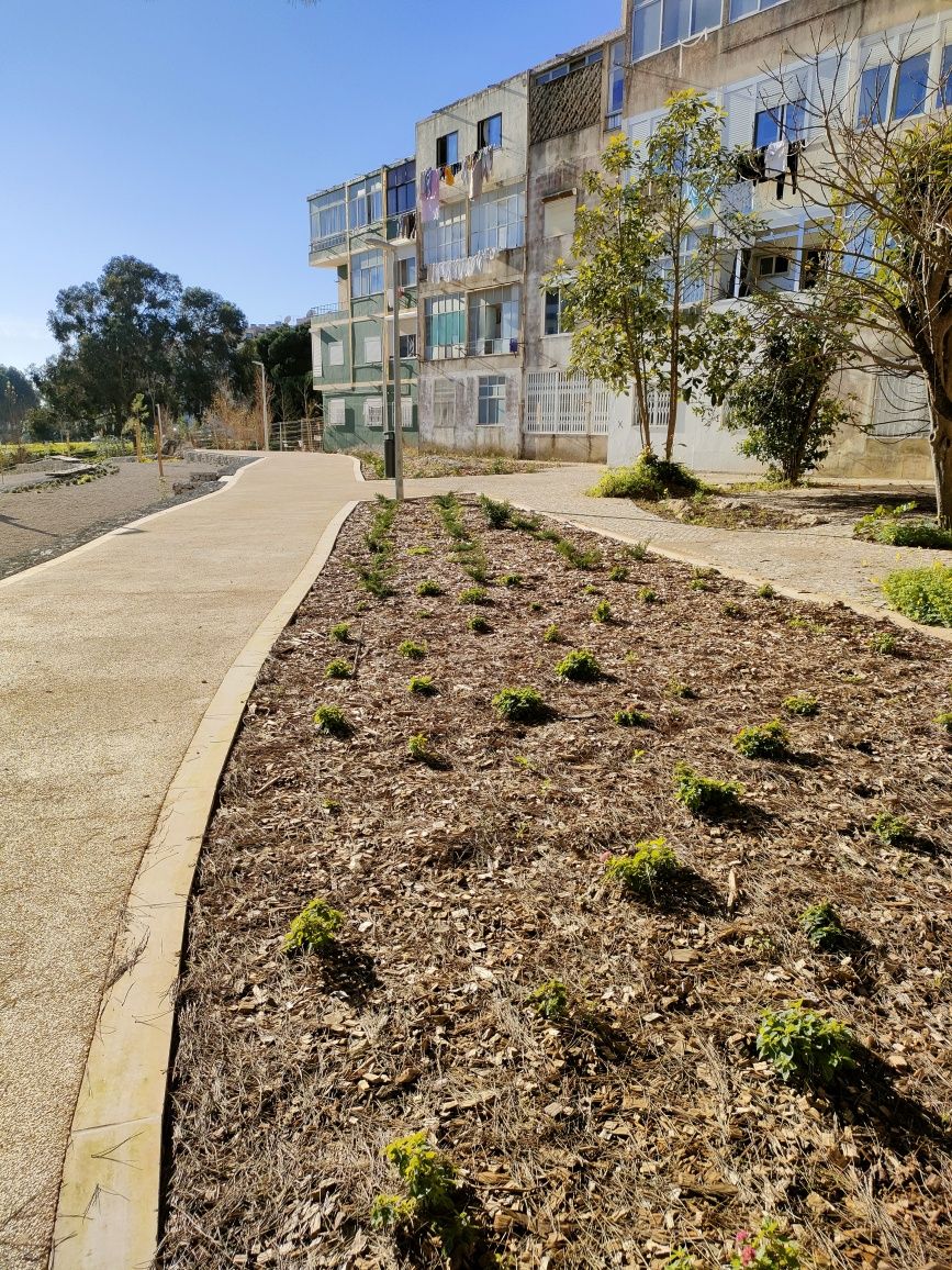 Manutenção, construção de jardins e espaços exteriores