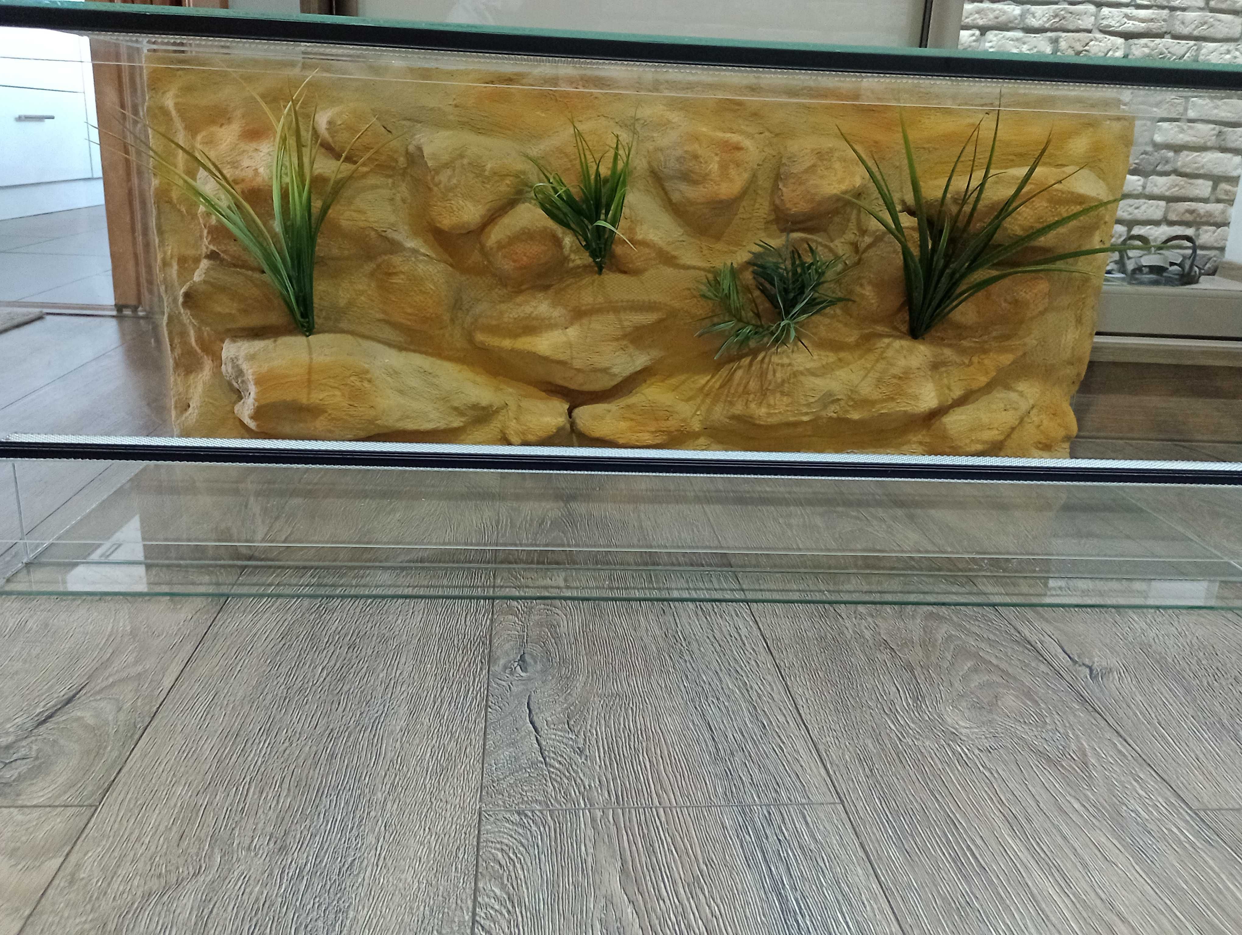 Terrarium agama gekon wąż żółw