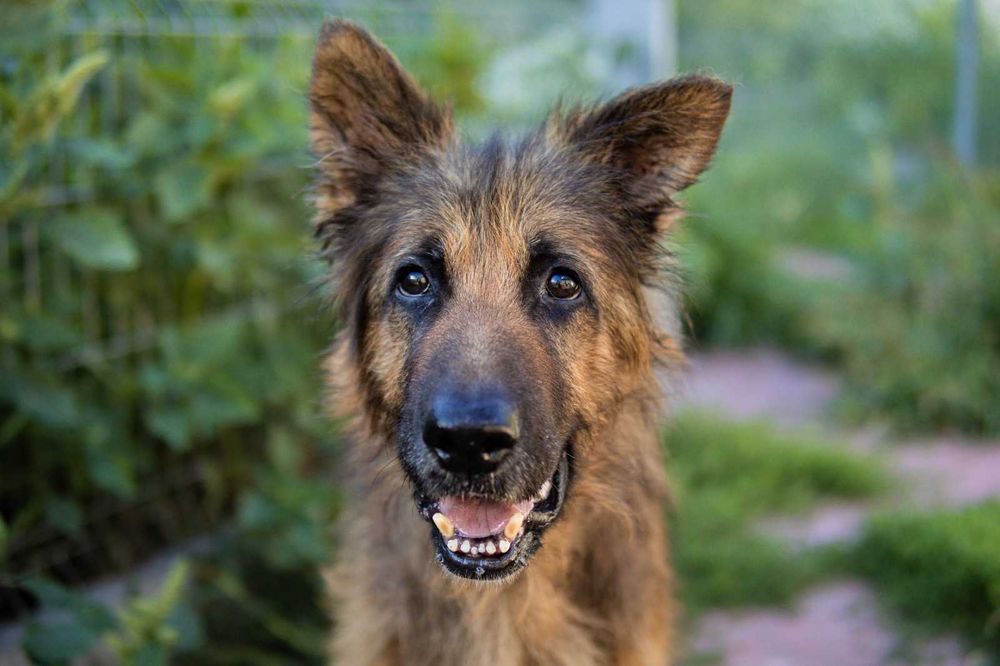 Laki wyrwany z piekła chce uwierzyć że może być dobrze