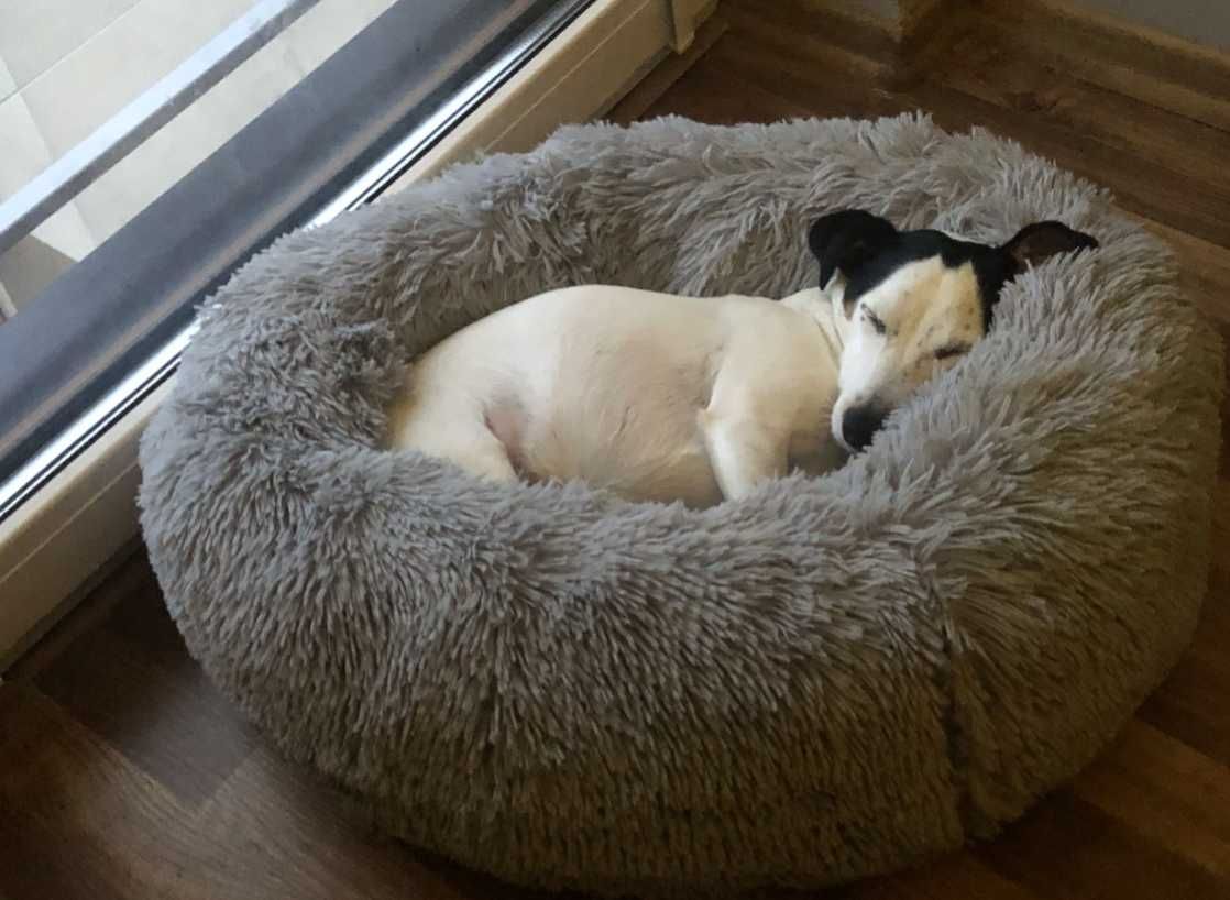 Legowisko pluszowe puchate ciepłe poduszka chmurka dla psa kota