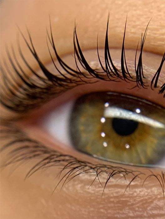 Шукаю моделей та клієнтів на брови та ламінування вій