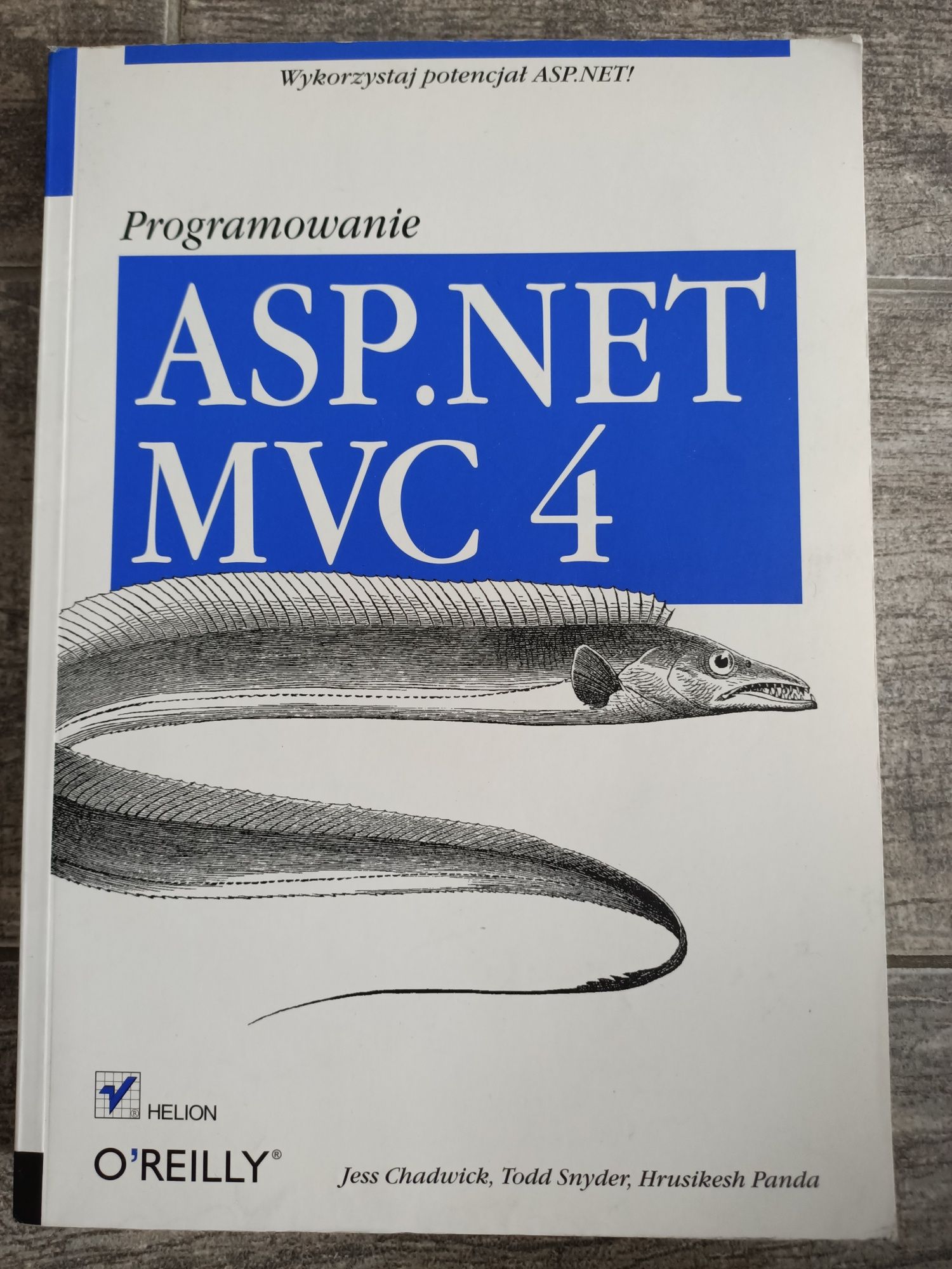 Programowanie ASP.NET MVC 4 Chadwick Snyder Panda