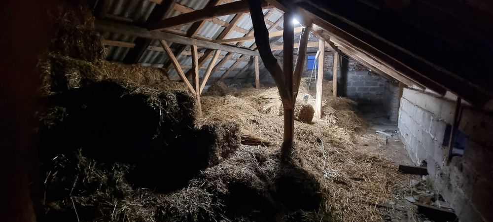 Słoma w małych kostkach