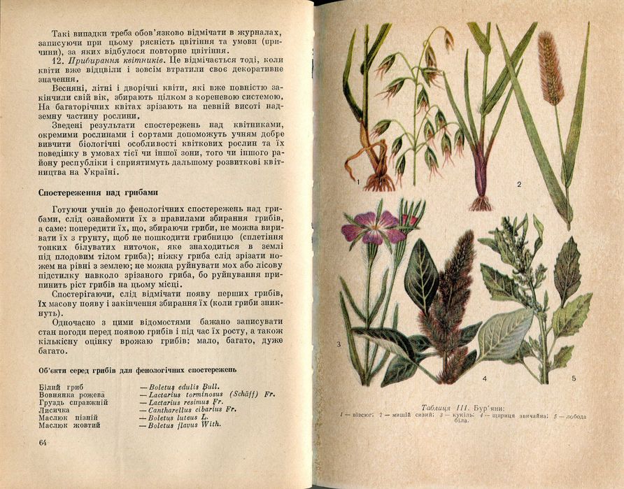 Пшеничний Н.І. Методика фенологічних спостережень у школі (1972)