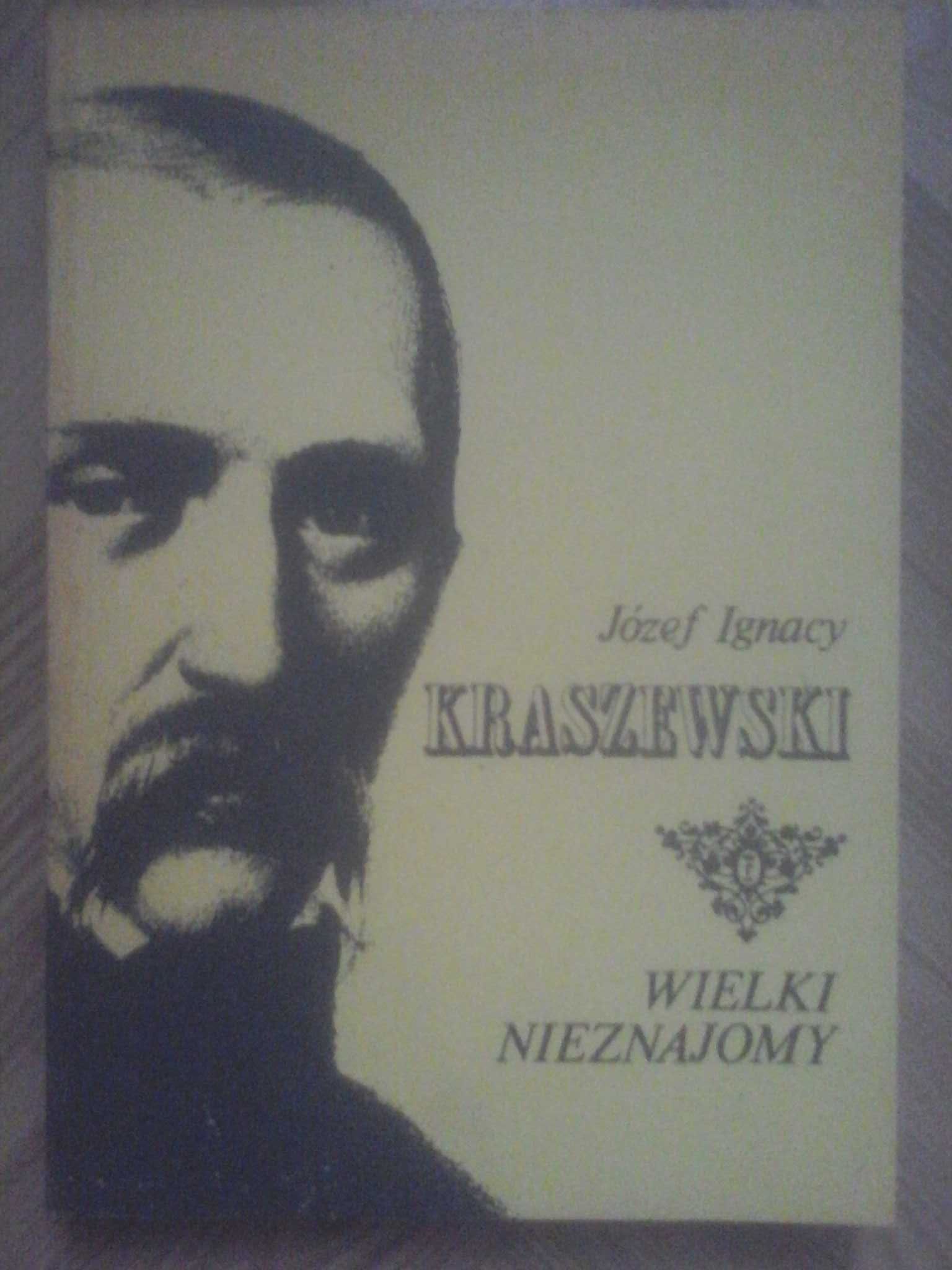 Wielki nieznajomy - Józef Ignacy Kraszewski