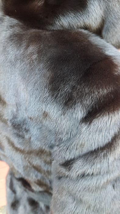 Норкова шуба Kasapis Bros NAFA Mink для автоледі розмір XS - S