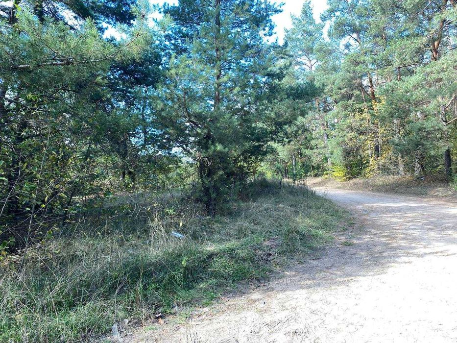 Продам ділянку мрії  біля соснового лісу в м.Гайворон!