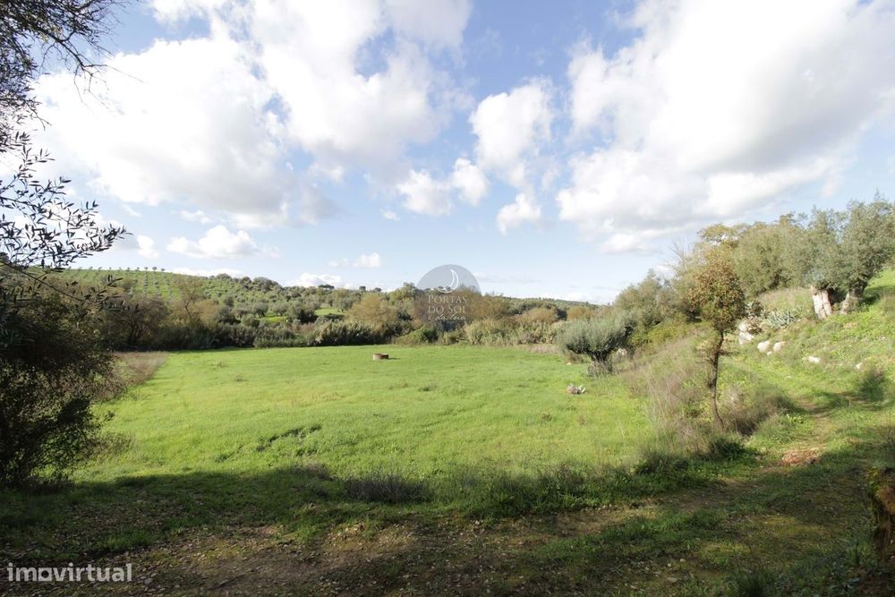 Terreno de 12.730 m2 c/ Poço em Regadio.