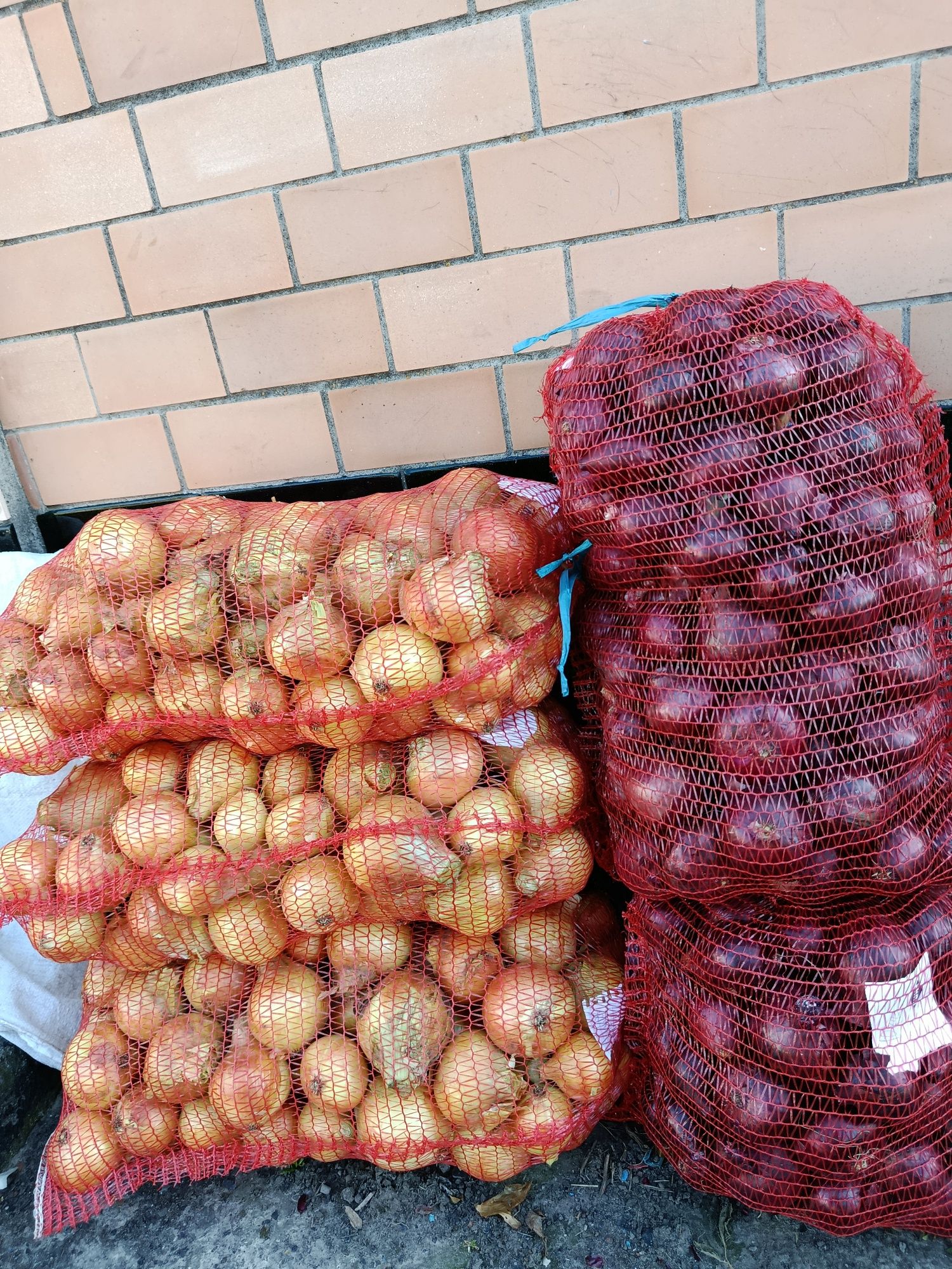 Продам цибулю та часник