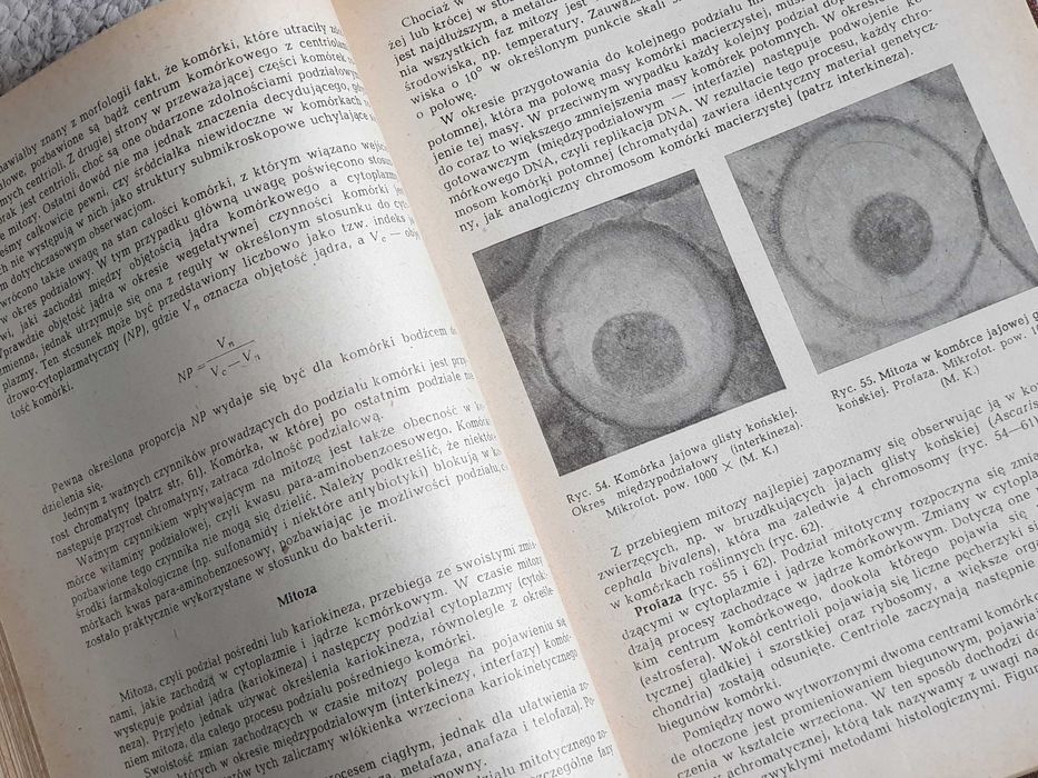 Podręcznik histologii - Pawlikowski, Karasek, Pawlikowski