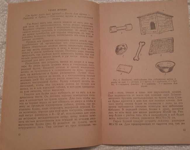 Воспитание щенка - А. В. Михайловский  - 1962 год.