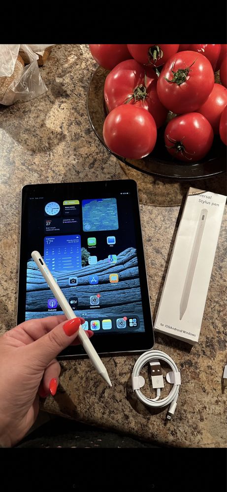 Tablet iPad Apple —128gb — Touch ID - PROCREATE