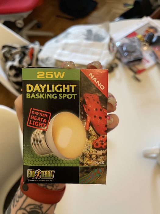 zarowki do lampy grzewczej do terrarium