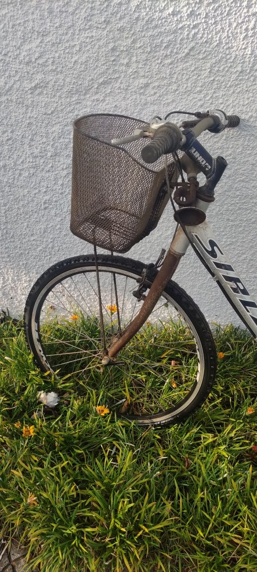 Bicicleta de senhora