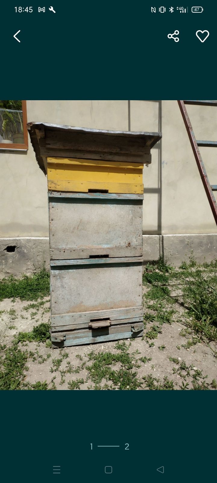Вулики, бджоли, пасіка