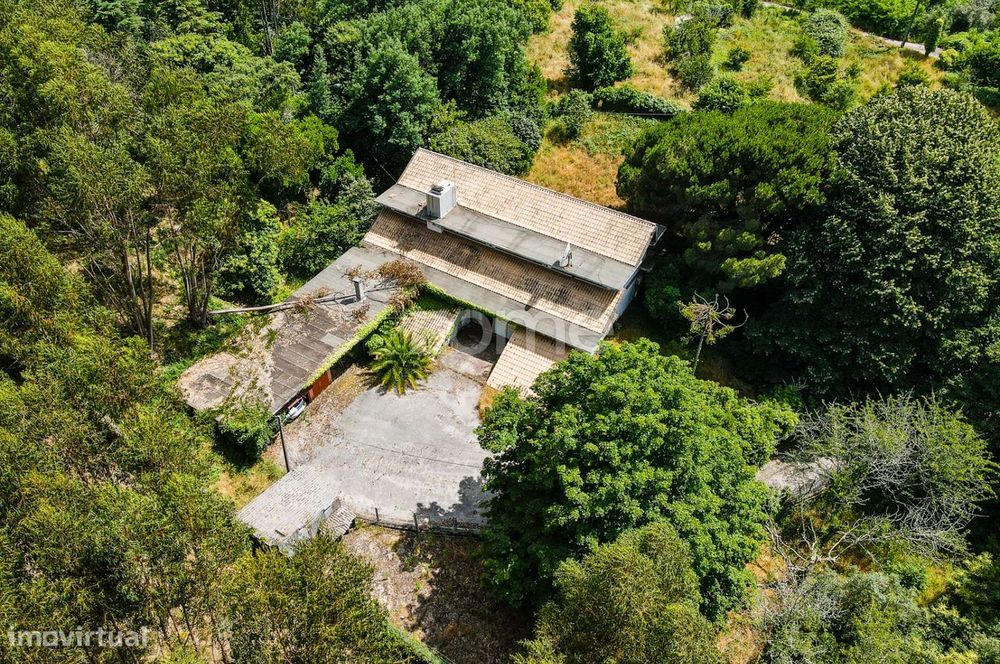 Quinta T4 + T3 I Terreno I Figueiró dos Vinhos