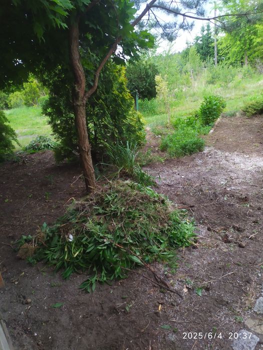 Usługi ogrodnicze i remontowe