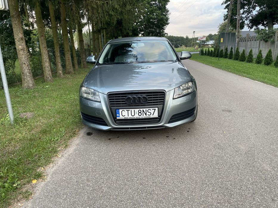 Audi a3 8p lift diesel sprawdz