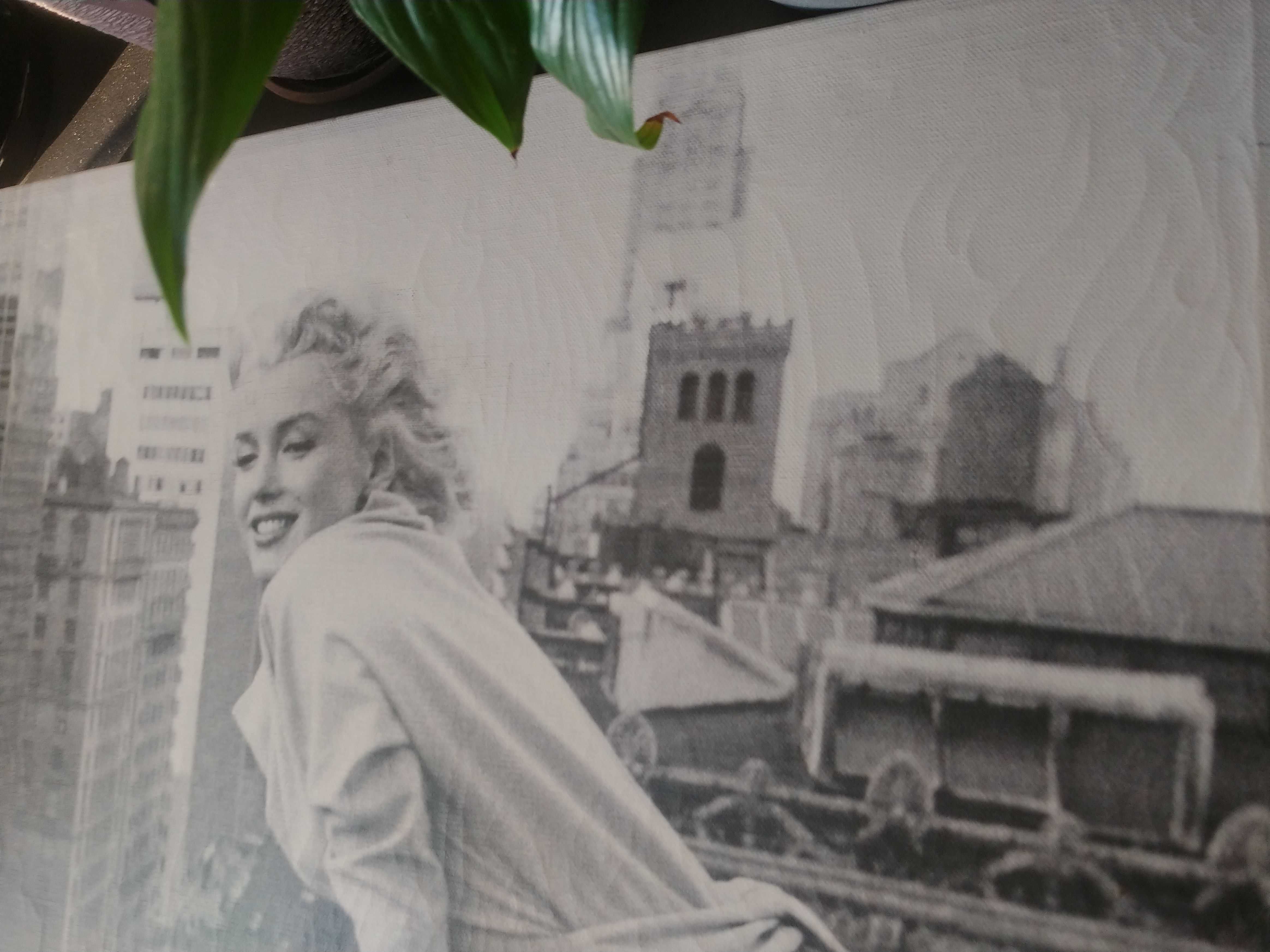 Obraz / fotografia na płótnie Marilyn Monroe w Nowym Jorku 50x50