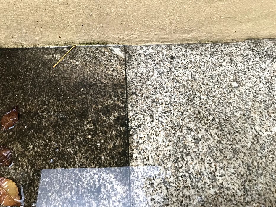 Limpeza a jato, jardinagem, fachadas Serviços especializados