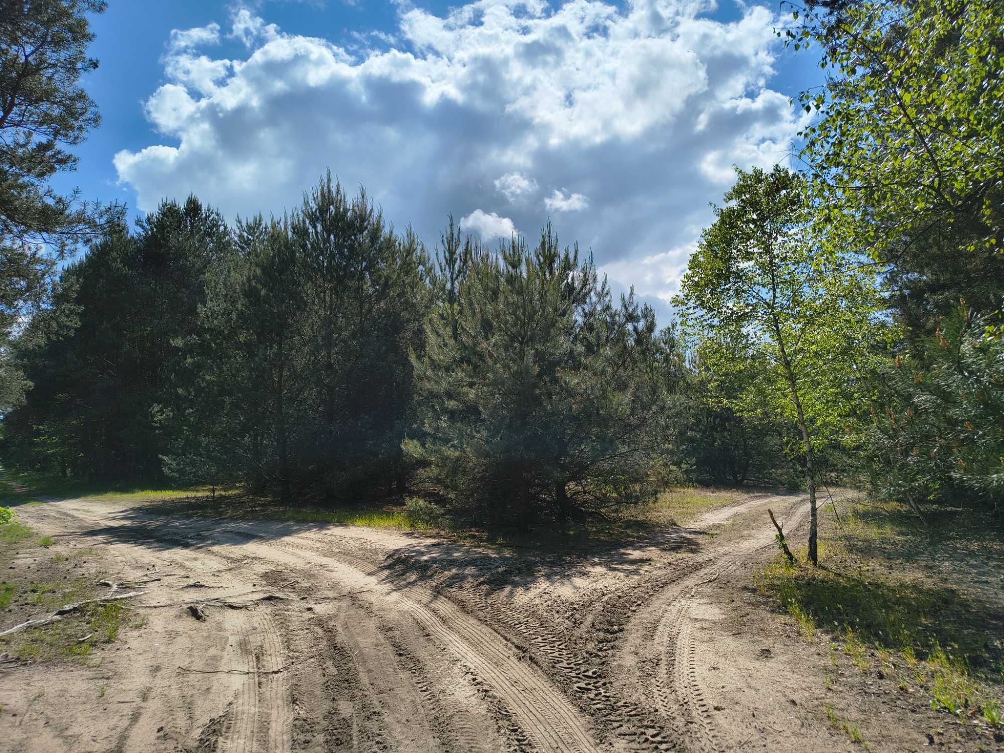 Leśna przystań pod Łowiczem! 1,88 ha spokoju, tylko 10 minut od A2!