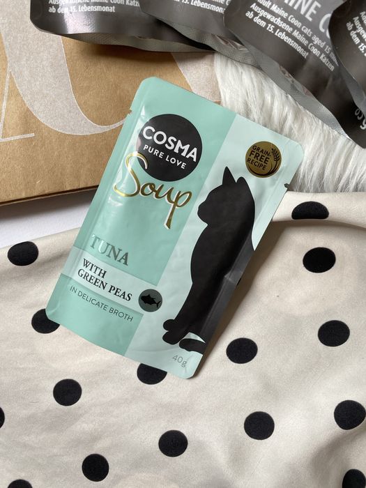 Karma mokra Concept for life maine coon cosma