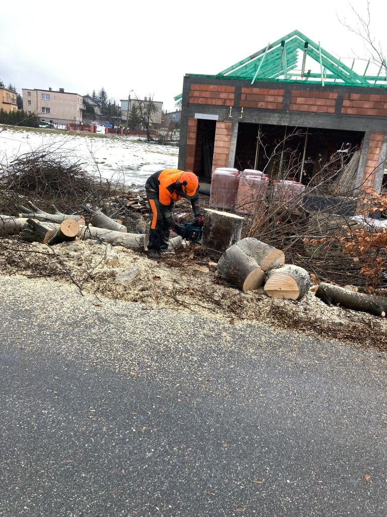 Wycinka drzew trudnych karczowanie działek usługi rębakiem