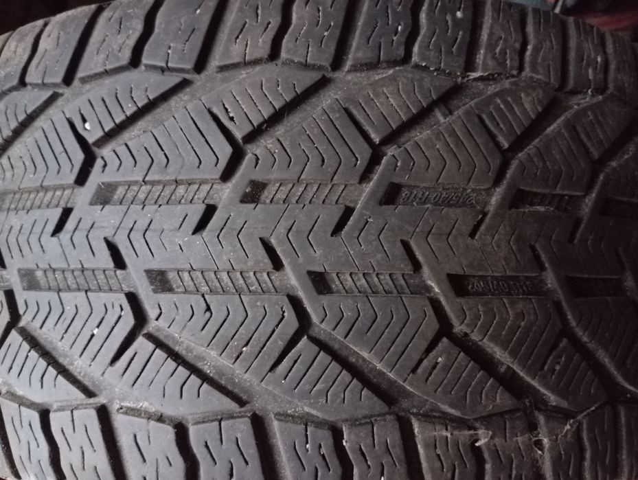 Зимова ризина.Вживана.