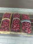 Maliny naturalne