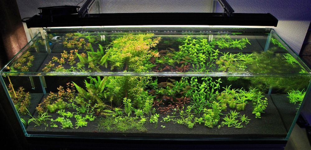 Аквариумный грунт (базальт, кварцит, мраморная крошка, кварц)