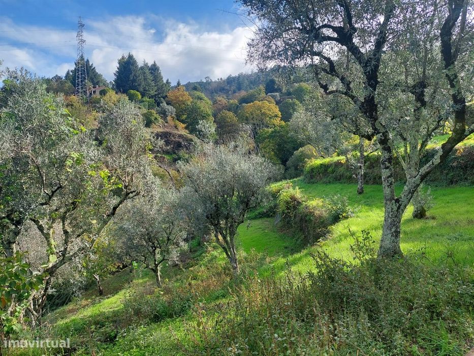 Quintinha com casa habitação