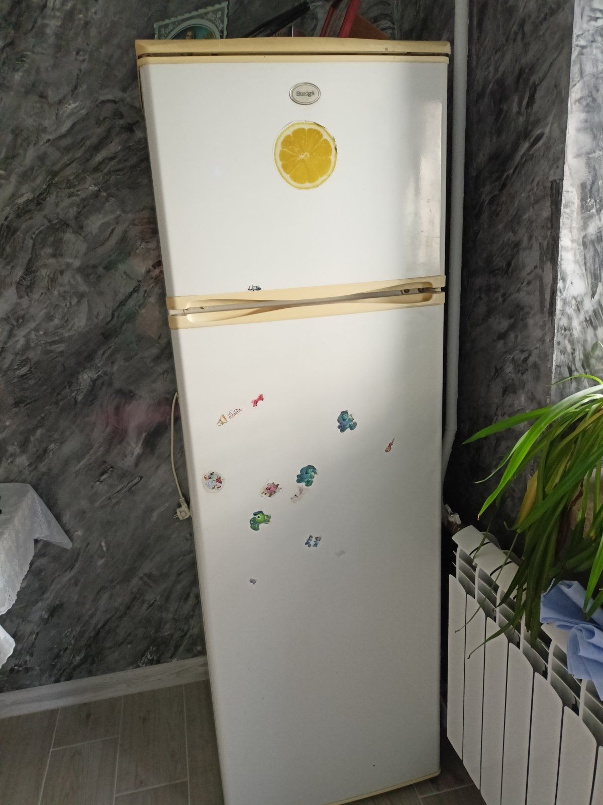 Холодильник Snaige, в гарному стані