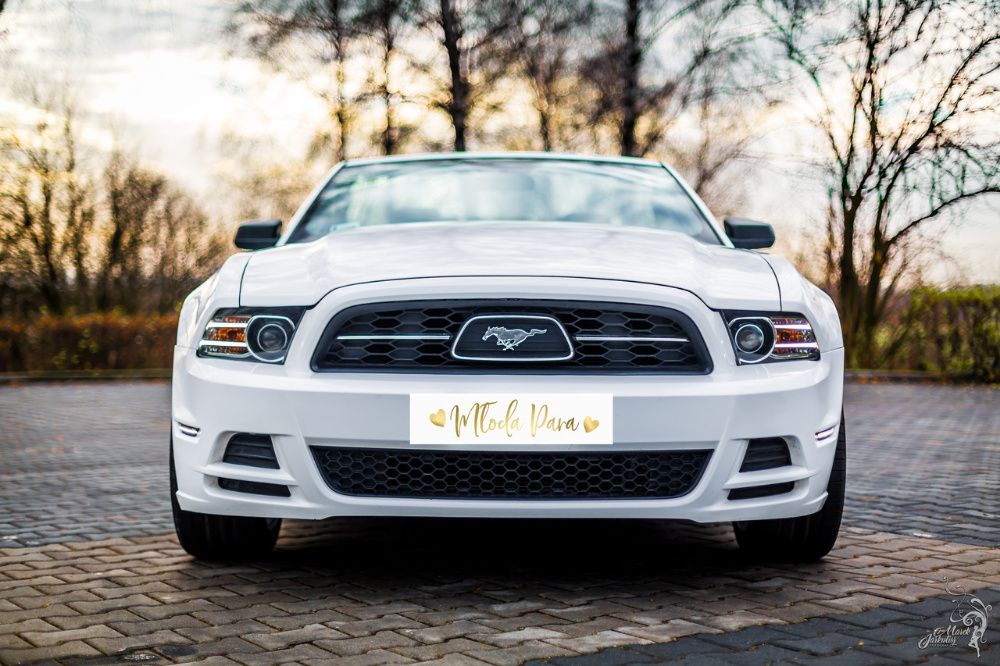 Mustang do ślubu Biały Ford Mustang Cabrio na Twój Ślub Wynajem