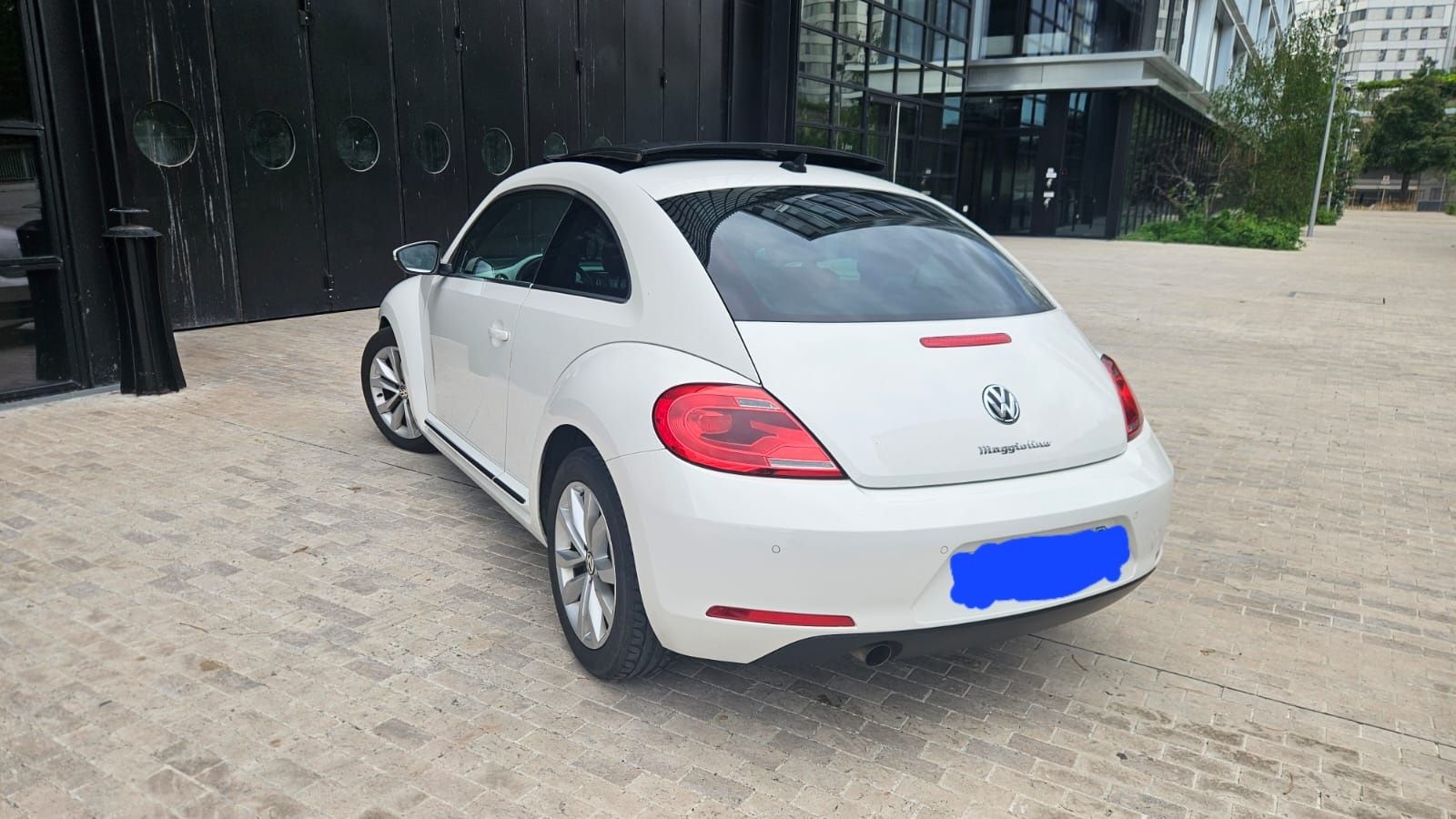 Beetle Maggiolino