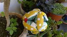Puzzle Ball Montessori , Brinquedo sensorial bebé
