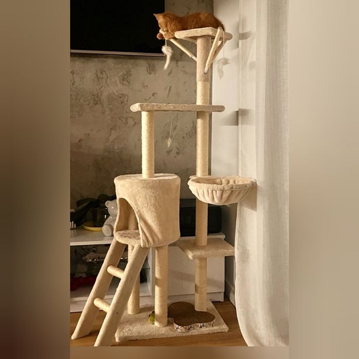 Drapak dla kota beżowy NOWY