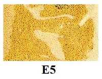 E5 bulion szklany kawior kuleczki 0,5mm 2g do zdobienia paznokci