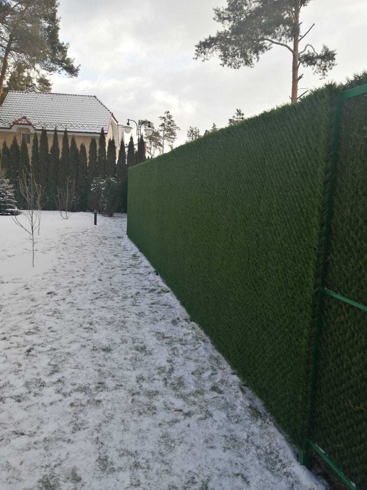 Зелений забор. Декоративна зелена огорожа