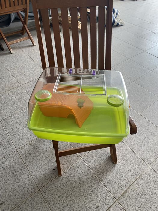Aquario para tartaruga