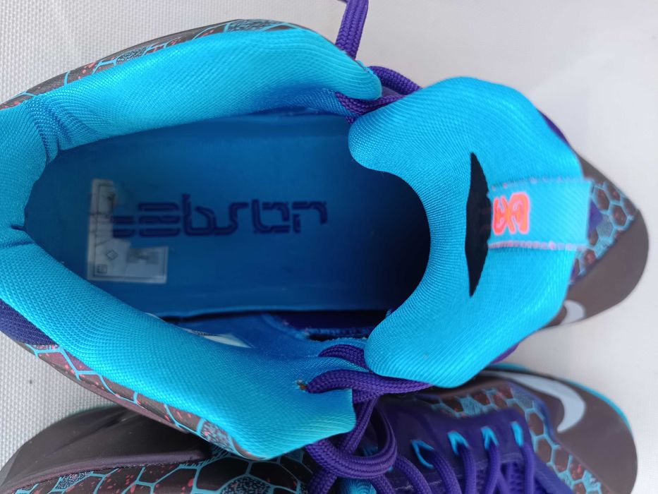 Nike basket LeBron James 11