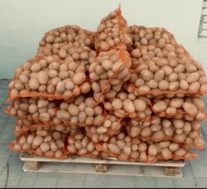 Ziemniaki  Irys Irga Wineta