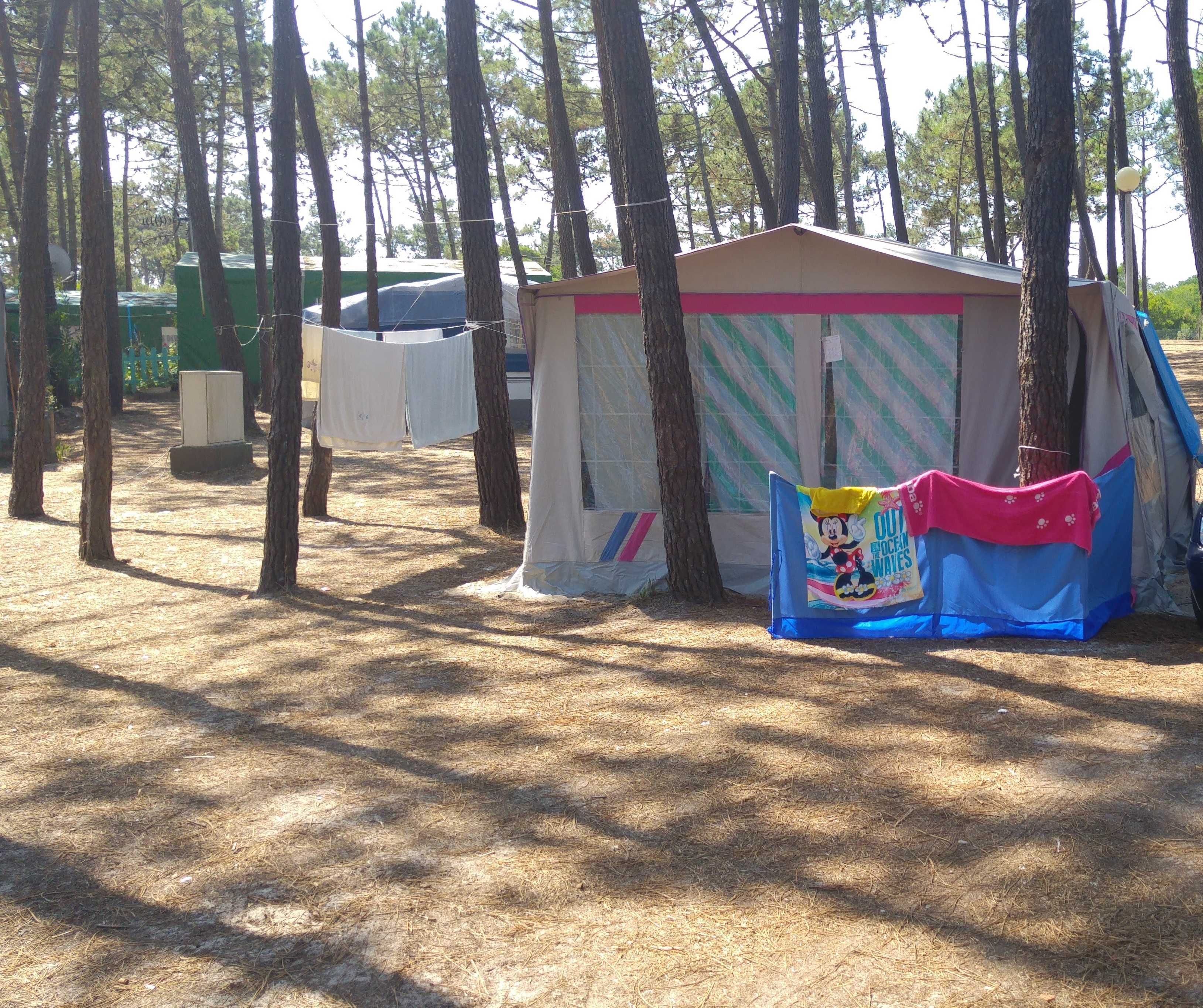 auto tenda Saurium
